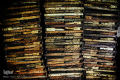 جمع آوری قاب های کندو