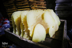 تصویری از یک موم طبیعی که توسط زنبور عسل ساخته شده است