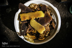 موهای طبیعی عسل