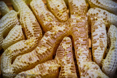 تصویری از یک موم طبیعی که توسط زنبور عسل ساخته شده است