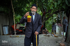 عسل حاصل تلاش زنبورها برای همه انسان ها