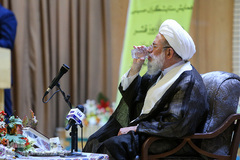 همایش ستایشگران حسینی