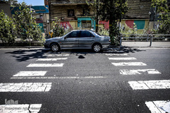 توقف راننده متخلف بر روی خط عابر پیاده 