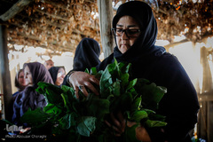 نذری تاسوعای حسینی