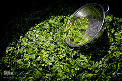 نذری تاسوعای حسینی