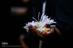 مراسم عزاداری شب عاشورای حسینی در تهران