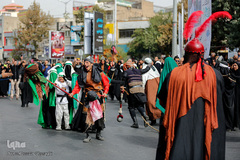 کاروان غربت عشق