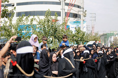 کاروان غربت عشق