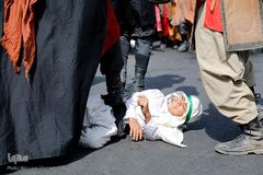 کاروان غربت عشق