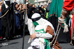 کاروان غربت عشق