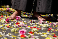 راهپیمایی نمادین قافله اسرای کربلا
