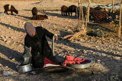 زندگی عشایری