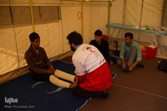 زائران پیاده امام رضا (ع)