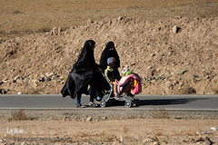 زائران پیاده امام رضا (ع)