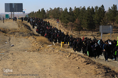 زائران پیاده امام رضا (ع)