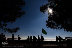 زائران پیاده امام رضا (ع)