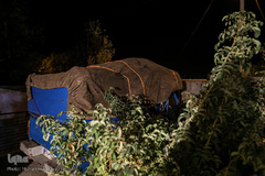 ارسال کمکهای جامعه قرآنی به مناطق زلزله زده