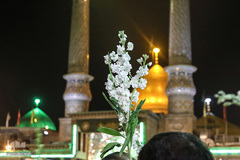 جشن میلاد سید الکریم عبدالعظیم حسنی (ع)