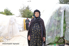 مردم سر پل ذهاب ۴۰ روز پس از زلزله