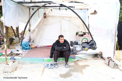 دیدار جامعه قرآنی با زلزله زدگان کرمانشاه