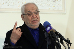 غلامرضا اعوانی، رئیس انجمن حکمت و فلسفه ایران