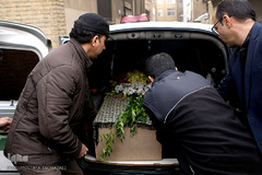 مراسم تشییع پیکر مرحوم «علیرضا تلیانی» خبرنگار ایسنا