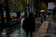 بارش باران در تهران 