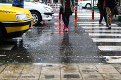 بارش باران در تهران 