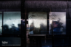 بارش باران در تهران 