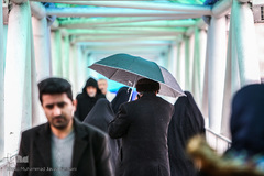 بارش باران در تهران 