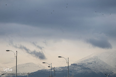 بارش باران در تهران 