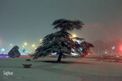 تهران سفید پوش شد