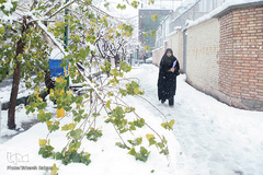 تهران روسفید شد