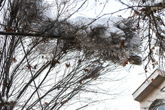 تهران چهار روز پس از بحران بارش برف 