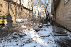 تهران چهار روز پس از بحران بارش برف 