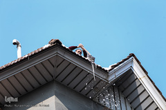 تهران چهار روز پس از بحران بارش برف 