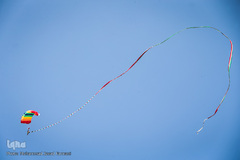 راهپیمایی ۲۲ بهمن "خیابان آزادی"