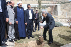 کاشت نهال به مناسبت روز درخت کاری