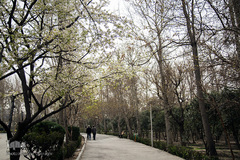 بهار، جلوه گاه پروردگار