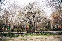 بهار، جلوه گاه پروردگار