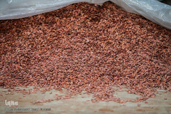 بازار گرم آجیل پزها در آستانه عید نوروز 