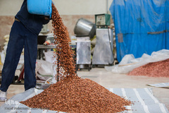 بازار گرم آجیل پزها در آستانه عید نوروز 