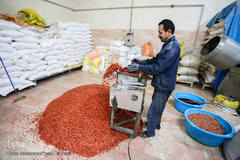 بازار گرم آجیل پزها در آستانه عید نوروز 