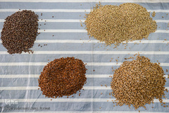 بازار گرم آجیل پزها در آستانه عید نوروز 