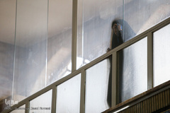 تشییع پیکر مرحوم آیت الله نصرالله شاه آبادی 