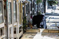 خانه تکانی قبور شهدا در آخرین پنجشنبه سال ۹۶