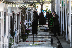 خانه تکانی قبور شهدا در آخرین پنجشنبه سال ۹۶