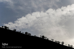 جهاد ادامه دارد..... (گروه جهادی شهید حسن شاطری)