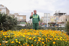 مردانی که زندگی می آفرینند