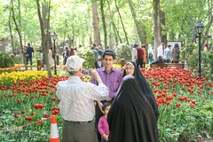 رویش در باغ ایرانی